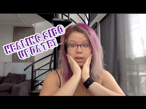 download lagu mp3 mp4 Fodmap Dill Pickles, download lagu Fodmap Dill Pickles gratis, unduh video klip Fodmap Dill Pickles