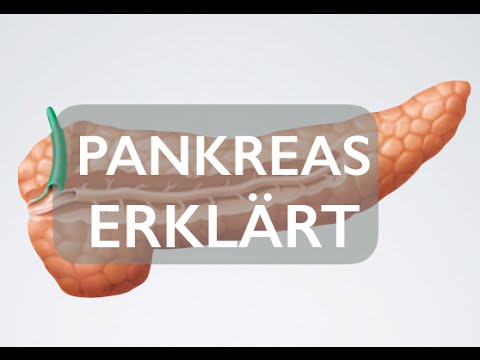 20 novomiks Insulin Die Auswirkungen von Insulin-Injektionen