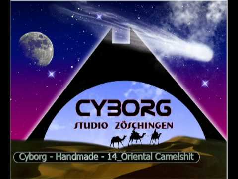 Cyborg - Handmade - 14_Oriental Camelshit