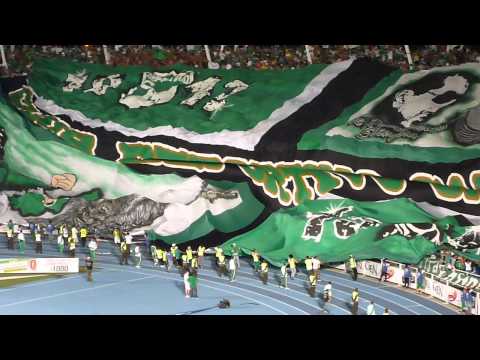 "Salida Del Deportivo Cali Vs Millonarios / 22 De Junio 2013" Barra: Frente Radical Verdiblanco &bull; Club: Deportivo Cali
