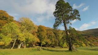 Lough Tay in 4K (Guinness Lake, Roundwood, IE)