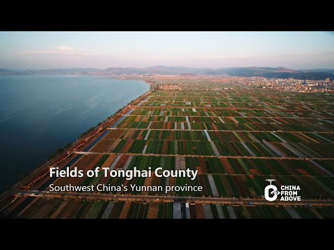 China From Above: square fields in Yunnan