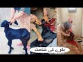 Black Goat Slaughtered By Girl Lady Butcher Vlogs