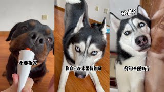 [問卦] 有沒有玻璃心指標？