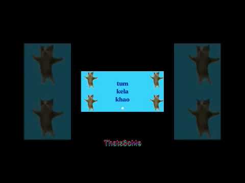 Bella ciao ❎ kela Khao✅🤣🤣