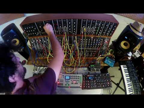 Moog System 55, Peak, Digitakt, Digitone, Analog Four MKII