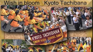 京都橘高校吹奏楽部 パンツ تحميل اغاني مجانا