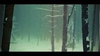 Duncan Browne - "Cherry blossom fool"