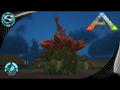KYREAM'S LITTLE PLANT FRIEND! BOSS TAMING! S2E30 - Pugnacia ARK: Survival Evolved
