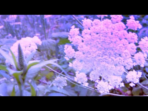 Video thumbnail for Better Times