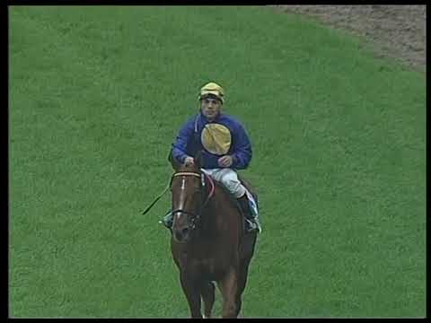 2005 06 04 Gran Premio GRAN CRITERIUM G 1 2005   EL FANFANTE  - HSI