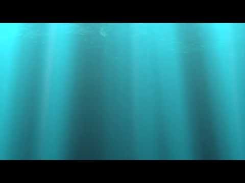 Offender (feat. Anamate) - English Frank AUDIO