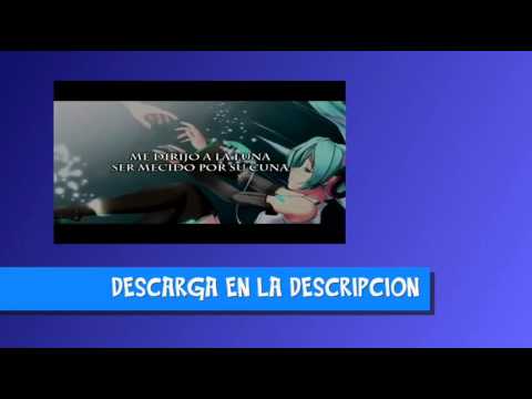 SORA, KINOX Y MEDIYAK || EL CAJON DE LOS SOLLOZOS || INSTRUMENTAL