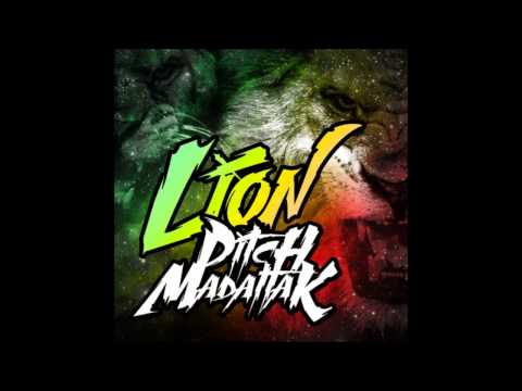 Pitch - Lion