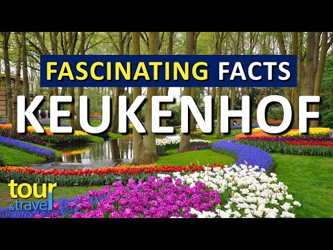 Travel Guide - Fascinating facts about Keukenhof Gardens - Netherlands #netherlands #keukenhof