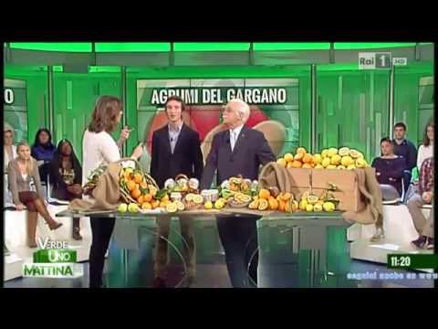 Gli agrumi di Rodi Garganico a Verde Uno Mattina