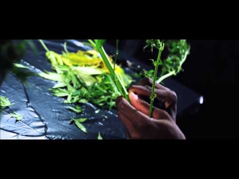 Jenemy vs. Acou Hinrunde (OHNE INTRO) VBT 2015 Halbfinale