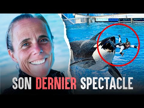 Un spectacle qui tourne mal à SeaWorld, que s'est-il passé ?