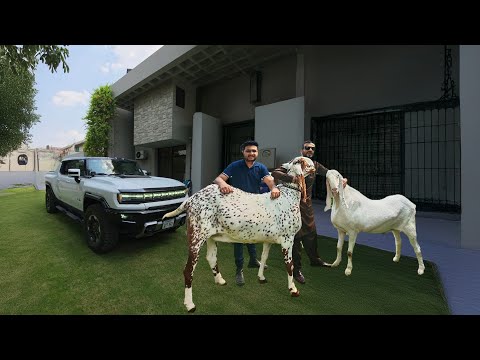 Hummer EV mai Bakra Pura Agya Toh Samjho Bakra FREE!