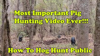 How To Hog Hunt Public Land Most important pig hunting video ever