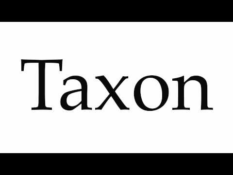 How to Pronounce Taxon