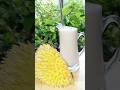 Name This Fruit Durian Shorts Shake