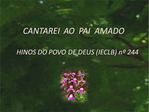 Óh Pai Amado! - Livro de Canto da IECLB