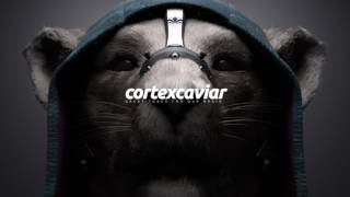 Paris Youth Foundation - Losing Your Love