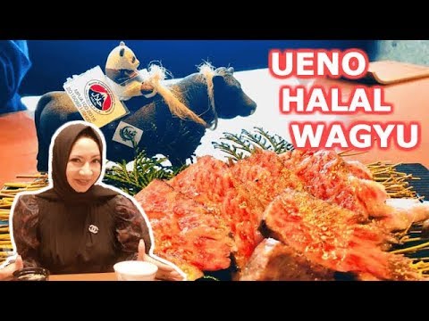 "Issho Ueno" Starts serving you Halal Wagyu Beef!