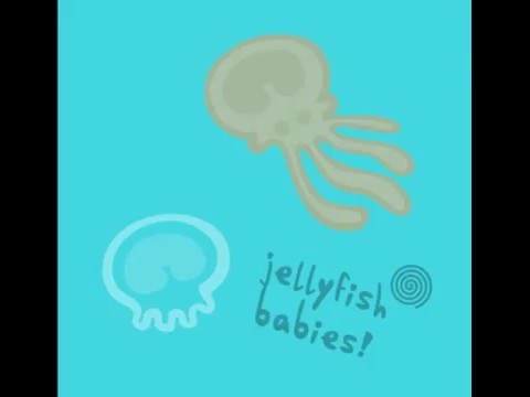 John Peel's Jellyfishbabies - Rainy Day