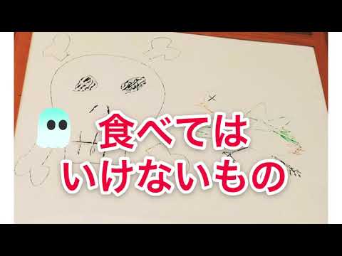冬に鳥に与えてはいけない食べ物は何ですか？これら 7 つは絶対に避けるべきであり、命を奪う可能性があります。  庭園