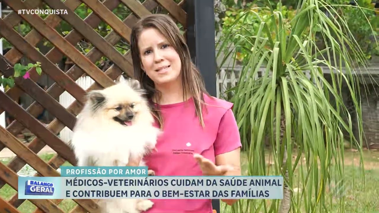 Médico-veterinário: profissão que une conhecimento, cuidado e amor pelos animais