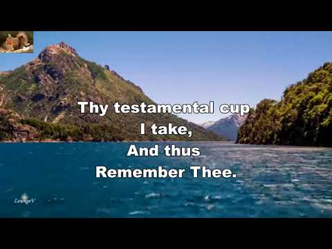 According to Thy gracious word