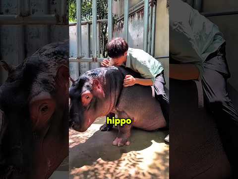 He Thought It Was Blood