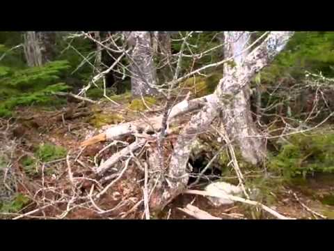 Parzellen 12 bis 1 am Wentworth Lake April 2011