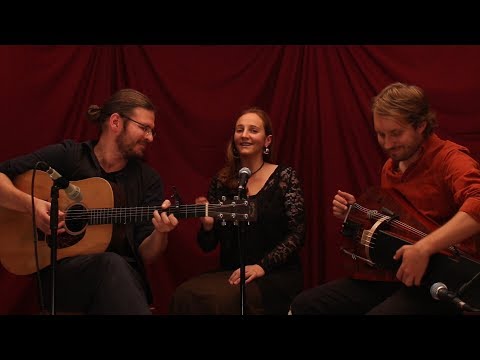 BUBE DAME KÖNIG - Trauervögelein (Saalesession 5)