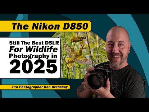 The Nikon D850: Still The Best DSLR For Wildlife Photography