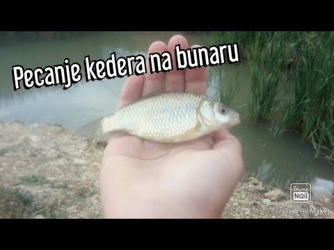 Pecanje babuške(kedera).