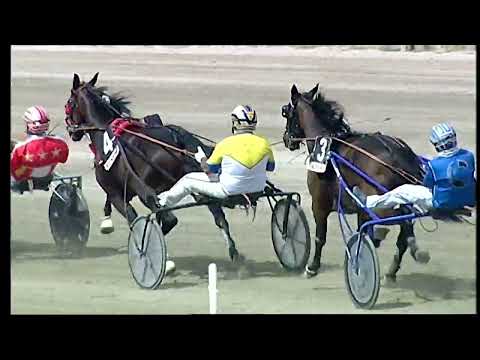 Napoli Trotto 04/06/2022 - 2ª corsa