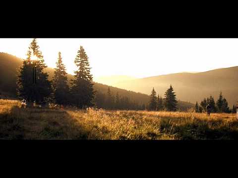 Transylvania calling