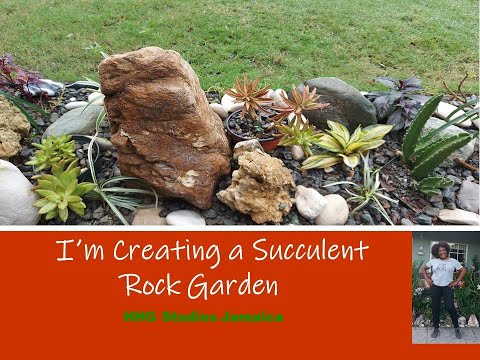 I'm Creating a Succulent, Rock Garden!!