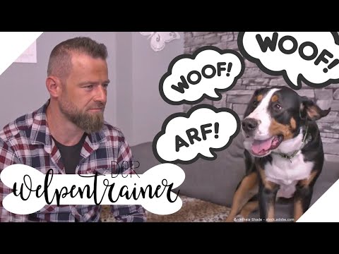 Unruly & Distant Dog: What to Do? | The Puppy Trainer | sixx