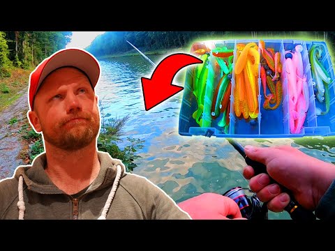 Unsere Köder für Zander und Barsch im Mittellandkanal!