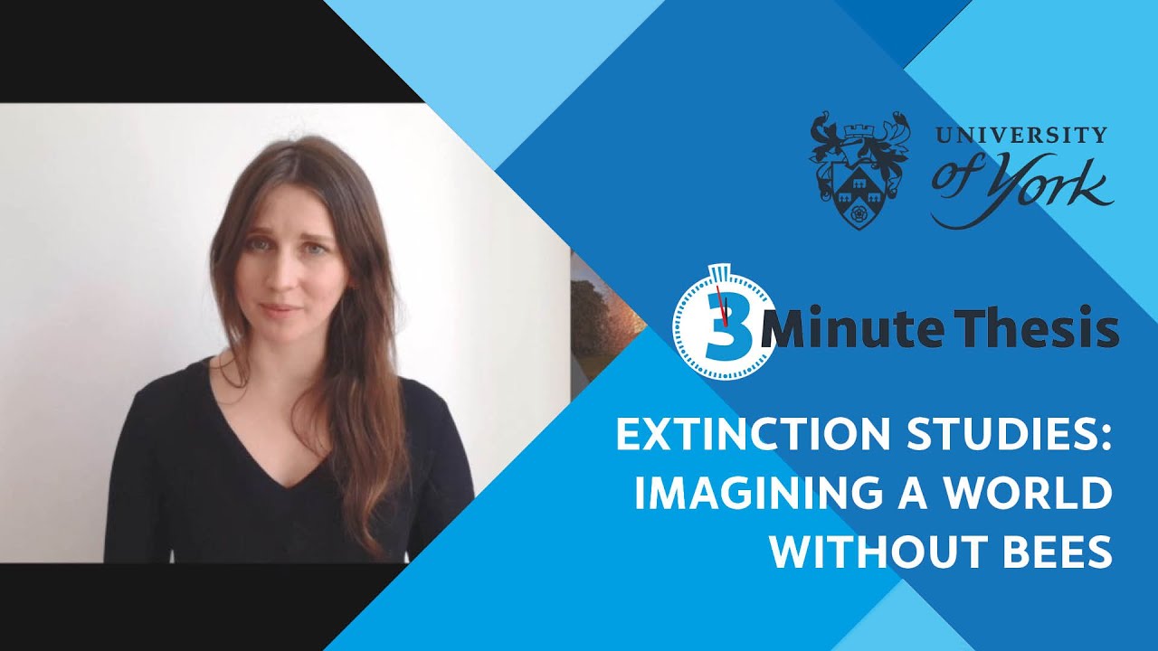 Extinction studies: imagining a world without bees