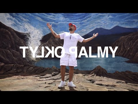 TEDE & SIR MICH - TYLKO PALMY / DISCO NOIR