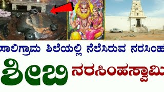 Temple video