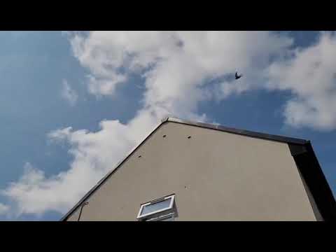 If you build it they will come