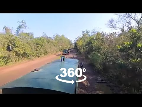 Vista 360 do passeio de trem no Parque Nacional do Iguaçu.