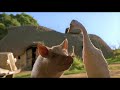 Ferdinand Pig And The Trumpian Cow Babe 1995