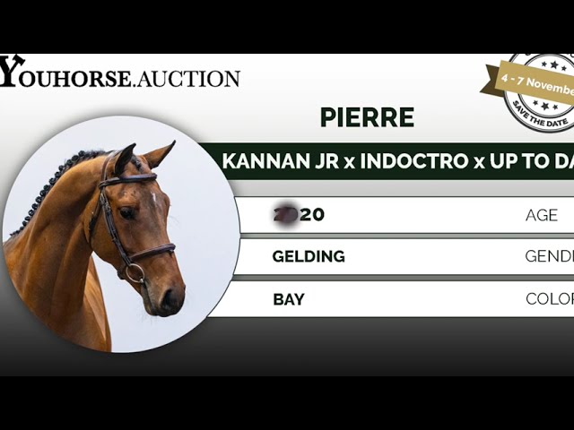 Pierre Tryout